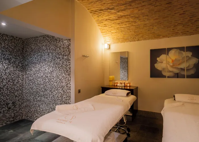 Aurea Convento Capuchinos By Eurostars Company Ségovie