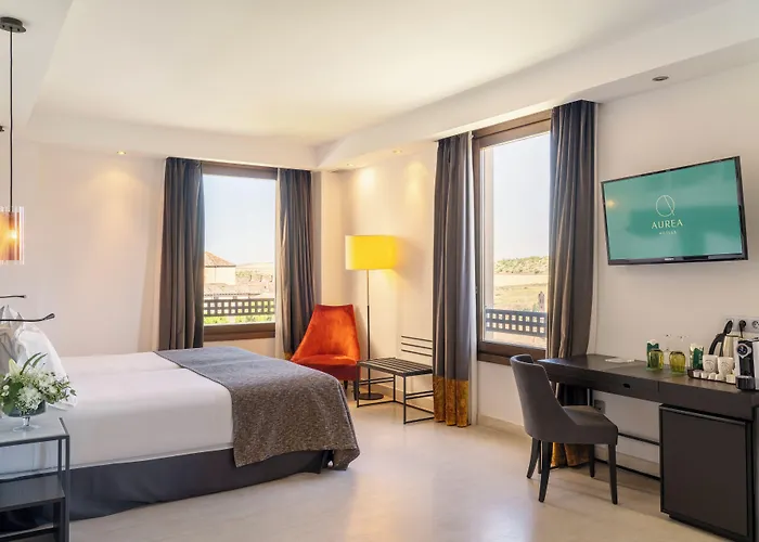 Hotel Aurea Convento Capuchinos By Eurostars Company Segovia